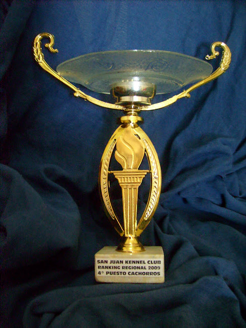 MEJOR CACHORRO DOGO ARGENTINO AÑO 2009 EN CUYO