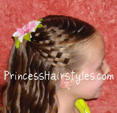 Basket Weave Hairstyle Video. by The Story Of A Princess And Her Hair 11 jan 
