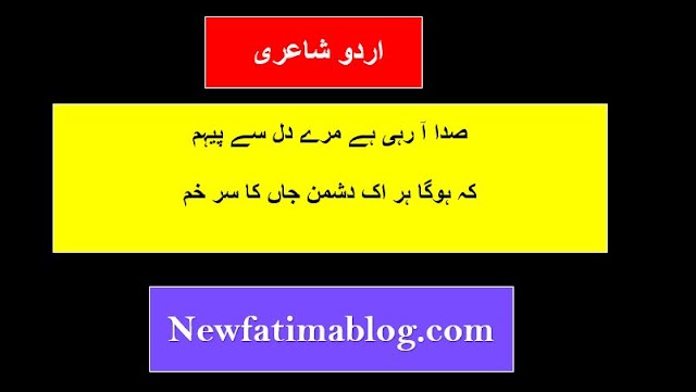 Youm e may habib jalib poetry: sada aa rahi hai mare dil se paiham