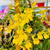 Bangu Shopping recebe Feira das Flores com agricultores e artistas florais