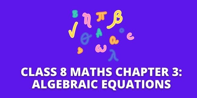 Class 8 Maths Chapter 3: Algebraic Equations