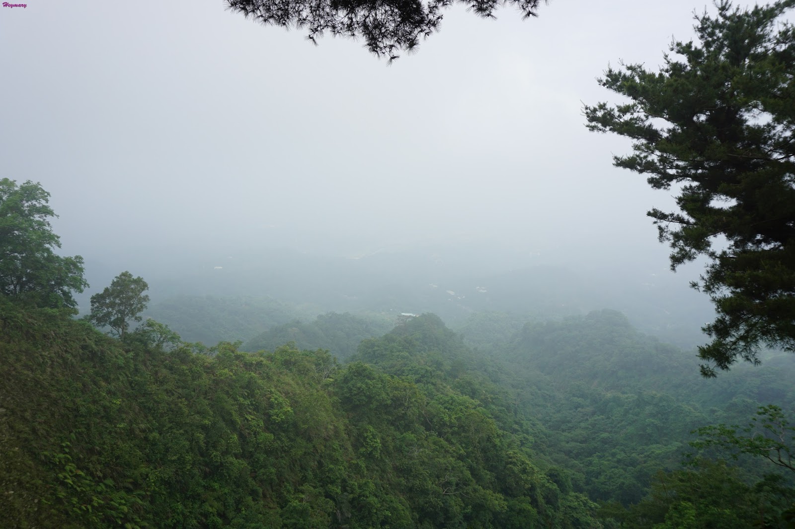 台中市北屯區/大坑二號步道