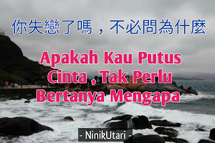 Apakah Kau Putus Cinta , Tak Perlu Bertanya Mengapa - 你失戀了嗎，不必問為什麼 