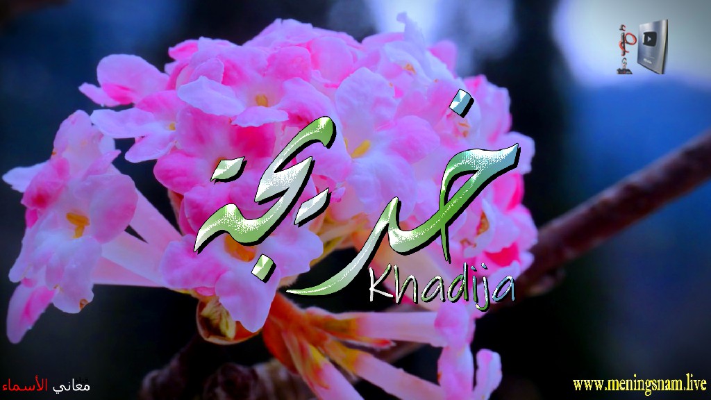 معنى اسم, خديجة, وصفات, حاملة, هذا الاسم, Khadijah,