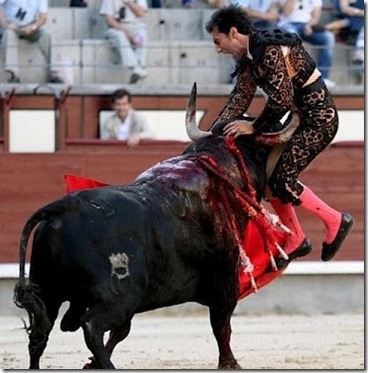 TOURO