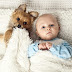 DOG AND NEW BORN: OUR TIPS TO COHABIT DOG AND BABY