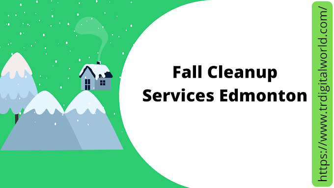 Fall Cleanup Services Edmonton | Seasons360
