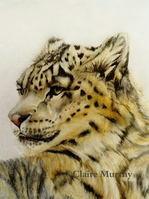 Wildlife Art and Wildlife Illustration