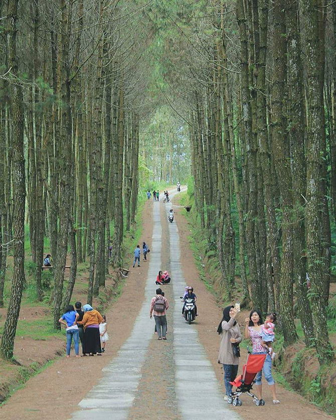 Tempat Tempat Menarik Wajib Pergi di Jogjakarta Blog 