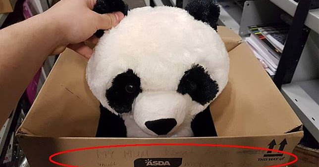 Ibunya Belum Bisa Beli Boneka Panda Karena Tak Cukup Uang 