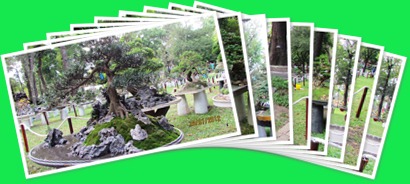View album