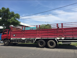 jenis jenis truk di Indonesia (tronton)