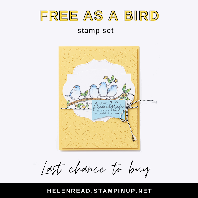 Free as a Bird Stampin Up card ideas