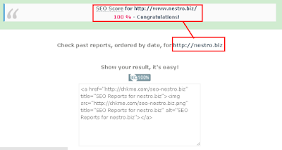 Cara Memperbaiki Tag H1 Zero Pada CHKME SEO Tools