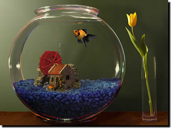 goldfish bowl pictures. You ever have a pet goldfish