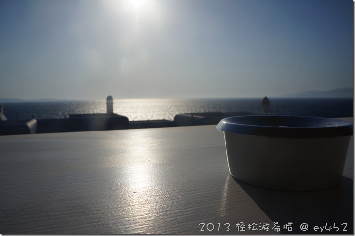DSC01399a
