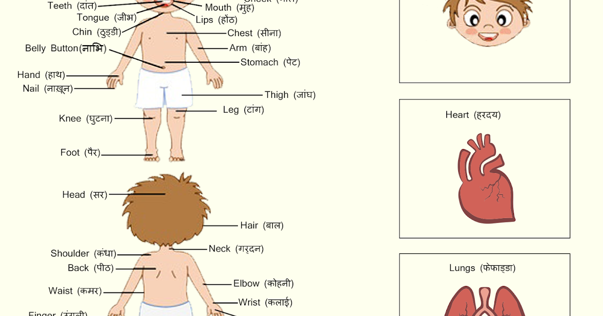 Aao Hindi Seekhe: Body parts name in hindi Aao Hindi Seekhe: Body parts name in hindi