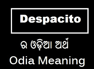 odia meaning of despacito