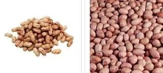 Diabetes mellitus: வேர்க்கடலை சர்க்கரை நோயாளி சாப்பிடலாமா?