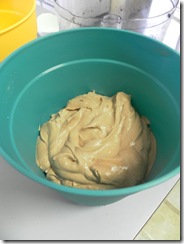 mud pie 09