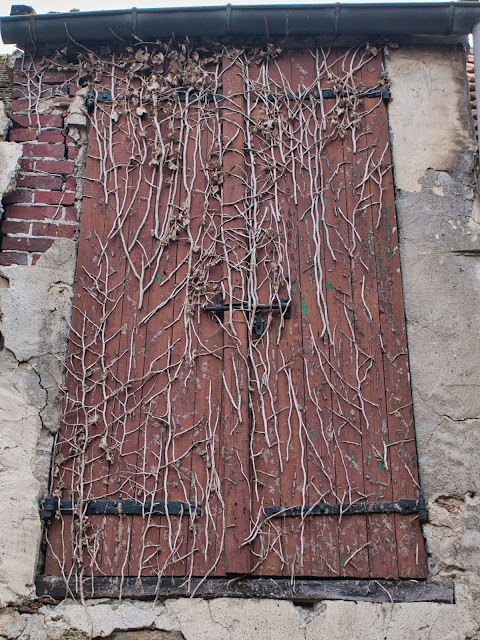 jiemve, le temps d'une pose, Goussainville, vieux village, urbex, abandon, maison abandonnée, volets, plantes