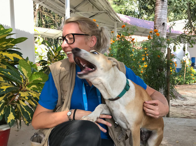 Foxtrot and Gemma Snowdon of the U.N. World Food Programme, who rescued the pooch as a 4-week-old puppy. Foxtrot's reaction to the Nobel Peace Prize: "Woweee."
