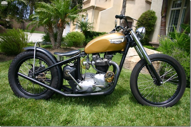 triumph 022