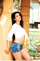 Amisha, patel, hot, navel, photos