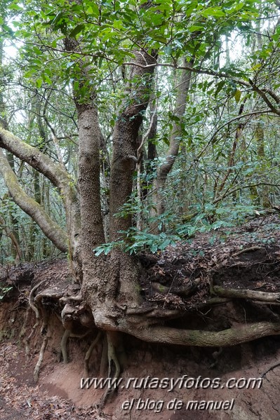 Sendero de los Sentidos - Sendero de los Enigmas