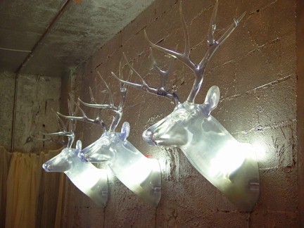 Biche and light