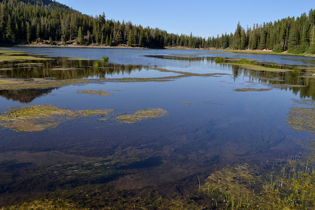 Strawberry Lake surface