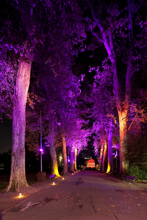 Parc de l'Orangerie by L'Acte Lumiere