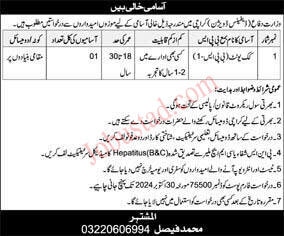 Ministry Of Defence Jobs 2024