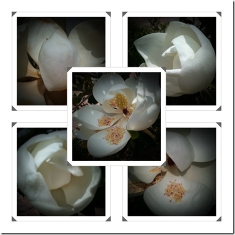 mosaic 1