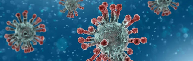 Deaths from Coronavirus in the world