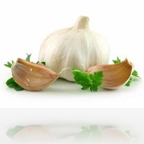 bawang putih