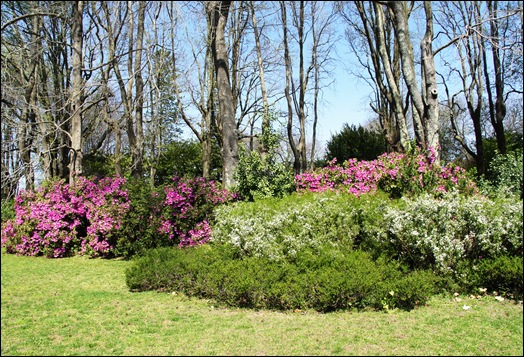 jardim serralves - jardim 1