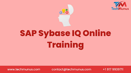 sap sybase IQ online training