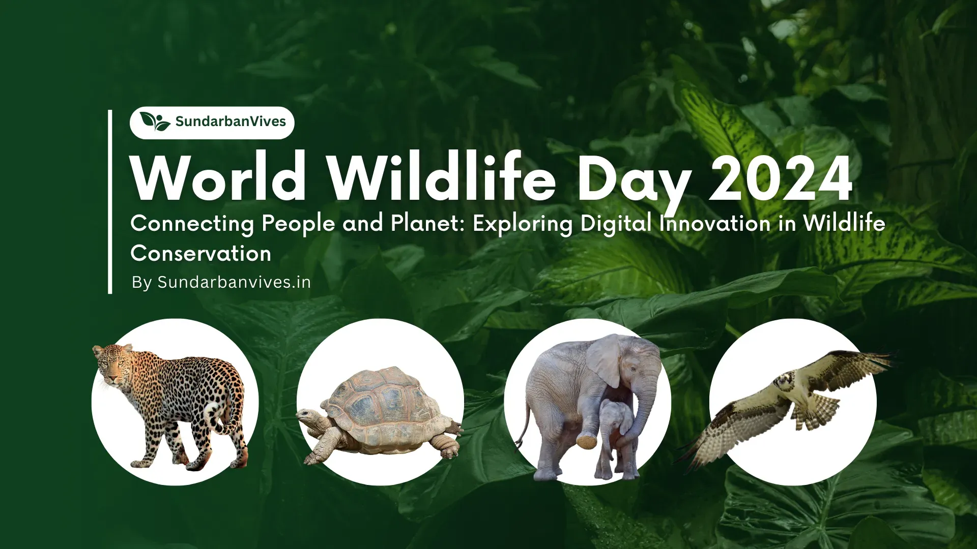 world wildlife day 2024 theme