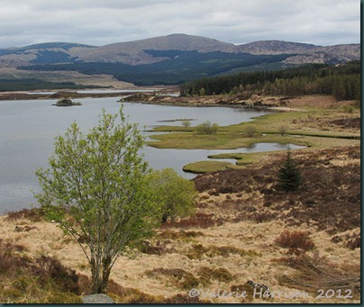 40-loch-dee