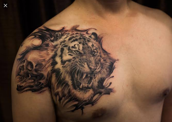  Tato  Keren Harimau 