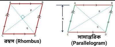 সামান্তরিক ও রম্বসের পার্থক্য