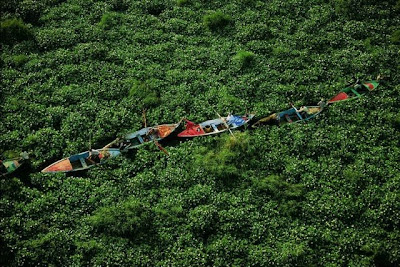 Beautiful Bird's-Eye Photos by Yann Arthus-Bertrand Seen On www.coolpicturegallery.us