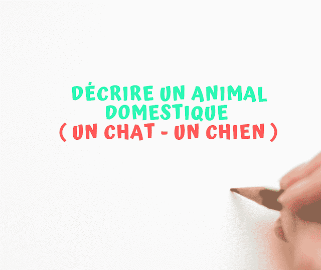 Décrire un animal domestique ( un chat - un chien )