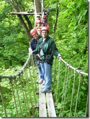 On a bridge in the trees!