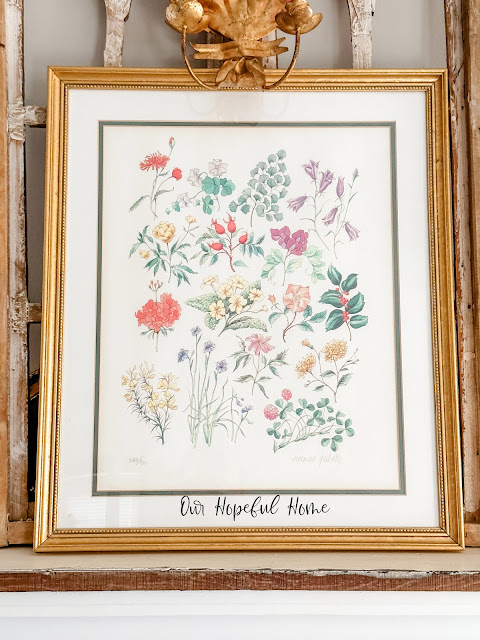 original Irish botanical print in gold frame