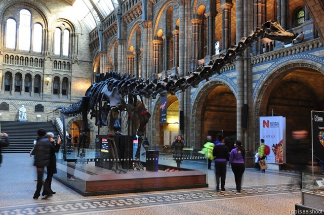 Natural History Museum London