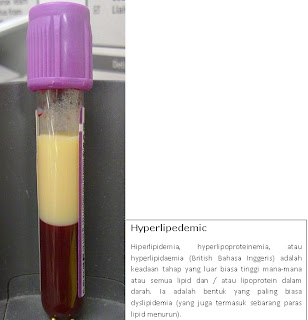 Herba & Tumbuhan: 