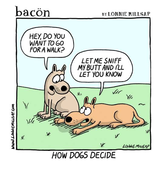 Humor Side Comic