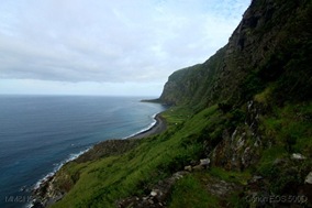IMG_5266